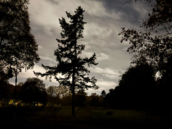 fr&uuml;her morgenspaziergang 28.10.2025