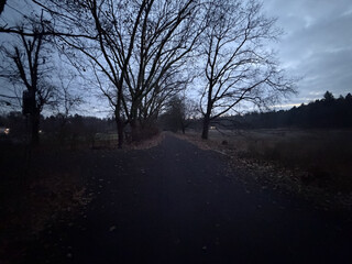 foto von unserem frühen morgenspaziergang heute, rechts die catcherwiese, links der sportplatz. es dämmert noch.