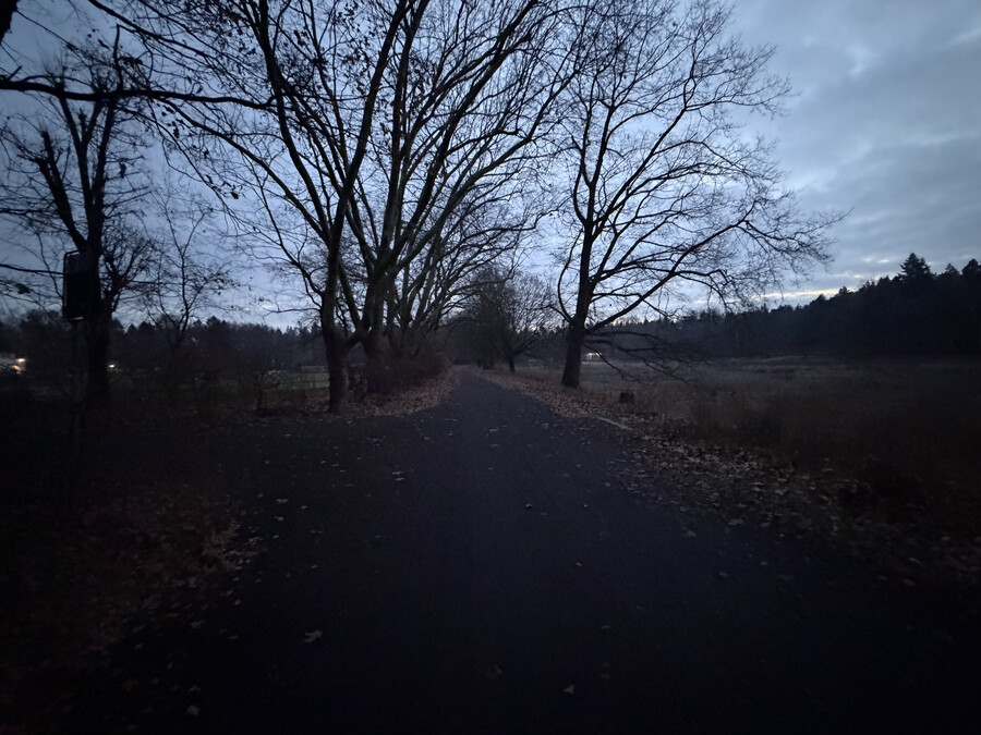 foto von unserem frühen morgenspaziergang heute, rechts die catcherwiese, links der sportplatz. es dämmert noch.