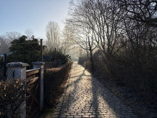 gegenlichtfoto in den falkenweg in richtung b&uuml;rgerwiese