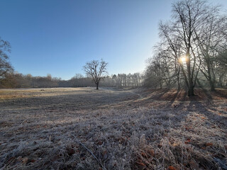 blick auf die b&uuml;rgerwiese, der boden ist mit raureif bedeckt, die sonne steht hinter den kahren b&auml;umen