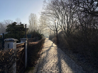 gegenlichtfoto in den falkenweg in richtung b&uuml;rgerwiese