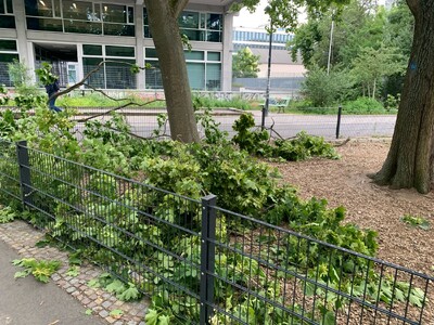 bild von abgebrochenen ästen nach dem sturm gestern abend am max-josef-metzger-platz