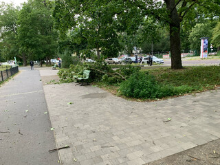 bild von abgebrochenen ästen nach dem sturm gestern abend am max-josef-metzger-platz