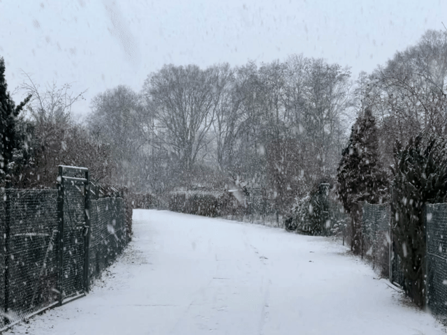 schnee gif
