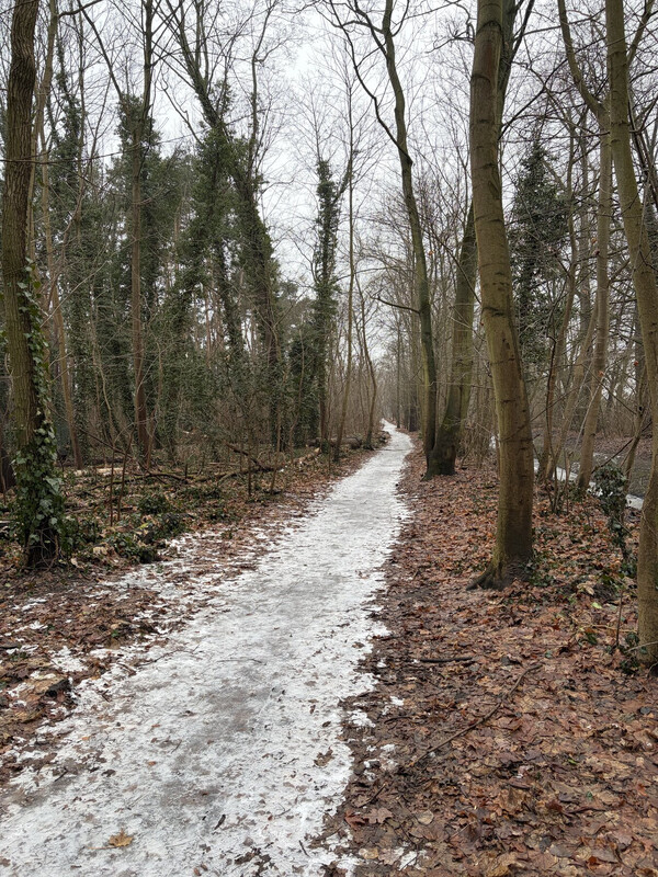 gletscherwanderung