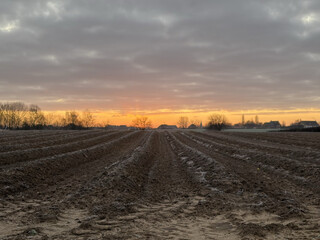 spargelfeld auf der niederl&auml;ndischen seite von karken