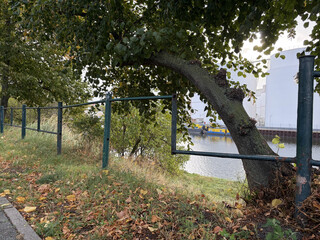 vom rost dekonstruierter metallzaun, zwischen dem wedding und der beusselstrasse, dem ein paar st&uuml;rtzen und streben fehlen, der aber trotzdem stabil steht.
