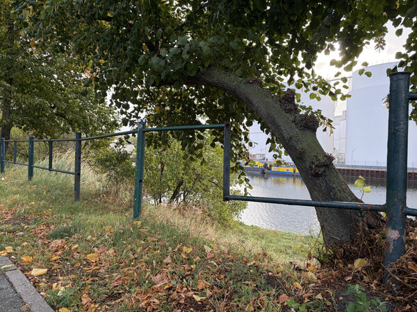 h&auml;lt in sich