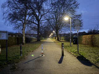 von strassenlaternen beleuchteter weg in der fr&uuml;hen morgend&auml;mmerung