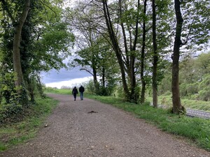 spaziergang im aachener wald in der nähe der vaalser strasse
