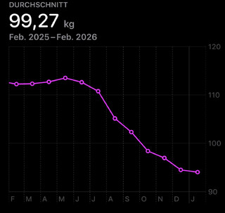 diagram meines durchschnittlichen gewichts in den letzten 12 monaten