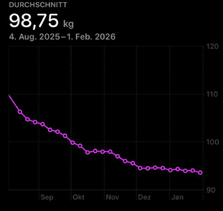 diagram meines durchschnittlichen gewichts in den letzten 6 monaten