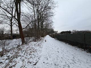 zugefrorener weg im vorlkspark rehberge. es sieht kalt aus und ist auch kalt.
