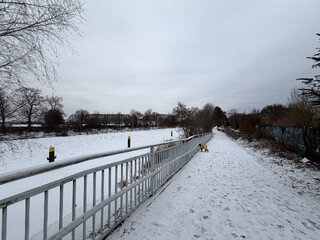 zugefrorener kanal im vorlkspark rehberge. es sieht kalt aus und ist auch kalt.