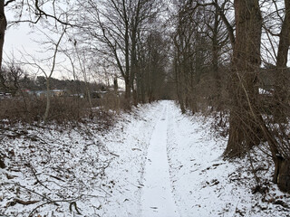zugefrorener bach im vorlkspark rehberge. es sieht kalt aus und ist auch kalt.