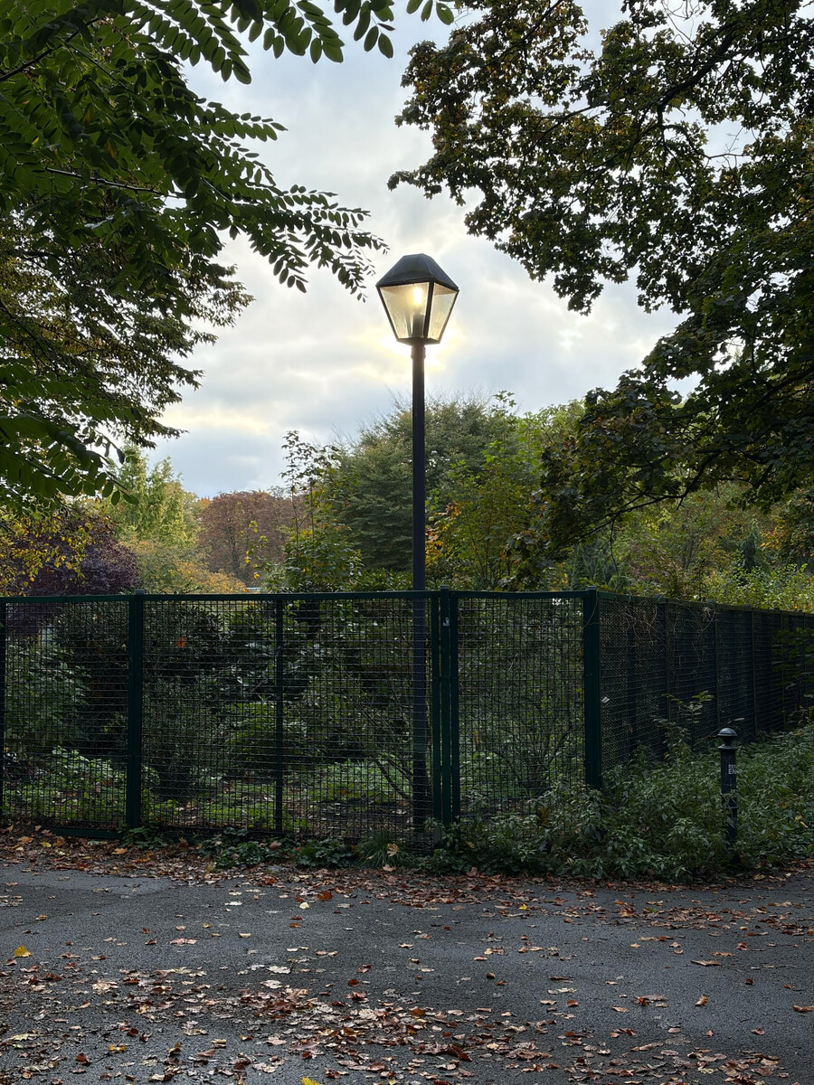 bild eine rleuchtenden laterne gegen den relativ hellen morgenhimmel. die laterne leuchtet noch, obwohl es weit nach 8 uhr ist.