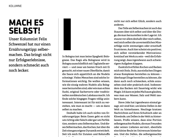 Mach es selbst! (t3n 75)