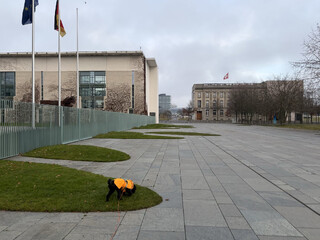 foto vom zaun des kanzleramts, man sieht die schweizer botschaft, den hauptbahnhof und frida
