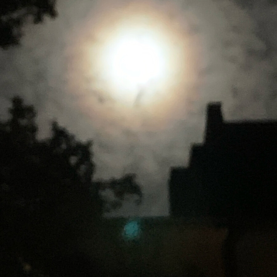 mond2