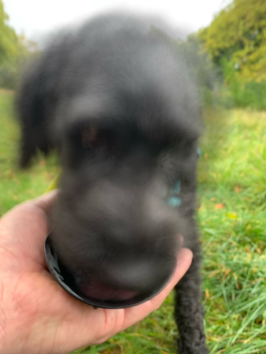 frida-out-of-focus