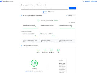 screenshot des page speed test f&uuml;r den spitzkohl-rezept-artikel. alles auf 100%, ausser  der barrierefreiheit. die ist bei  95%.