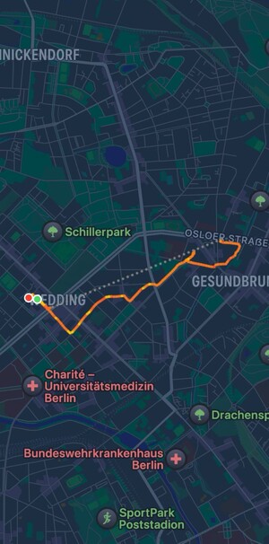screenshot der apple watch trainingsaufzeichnung vom morgenspaziergang heute (von der seestrasse über die exerzierstrasse zur drontheimer strasse)