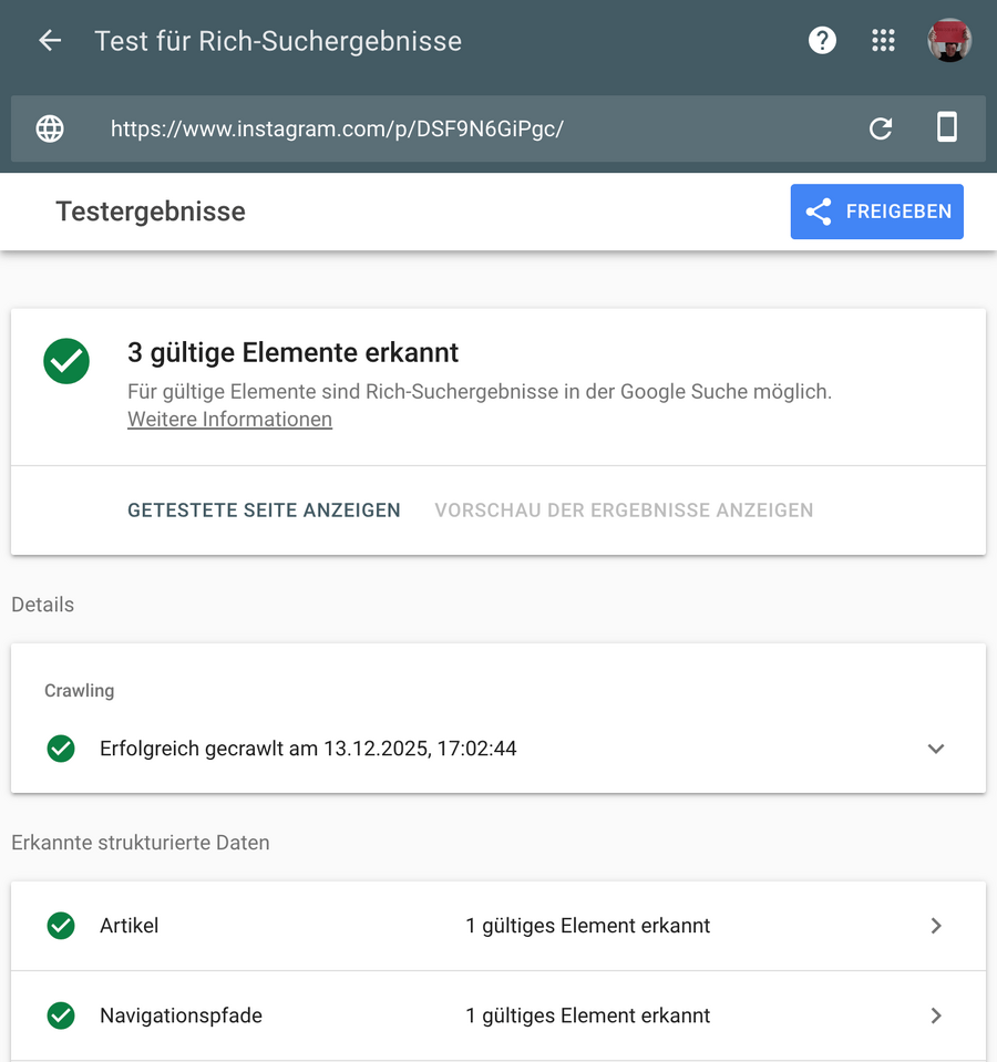 screenshot vom google rich text tester, hier die auflistung von schema elementen einer instagramseite