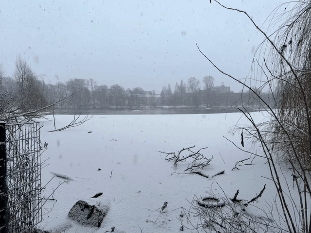 morgenschneespaziergang 31.12.2025