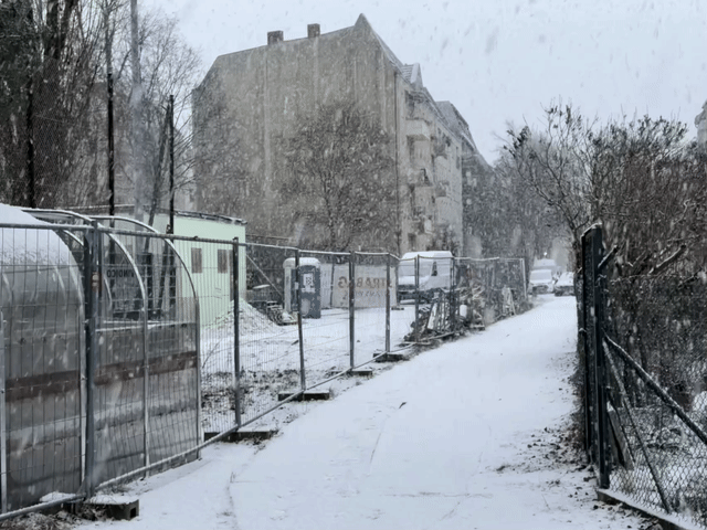 morgenschneespaziergang 31.12.2025