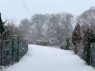 foto in der gartensiedlung an der r&uuml;tlistrasse in berlin. es f&auml;llt schnee und die wege sind weiss