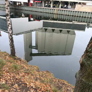 morgenspaziergang 10.11.2025