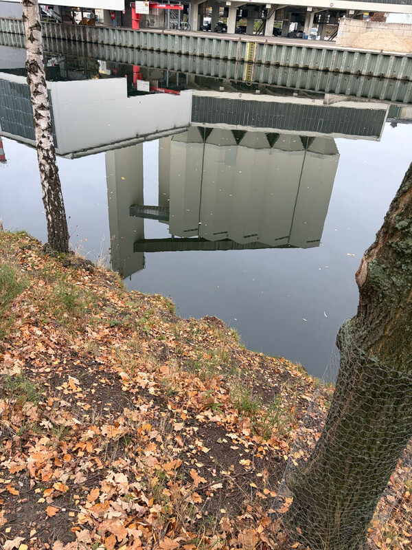 morgenspaziergang 10.11.2025