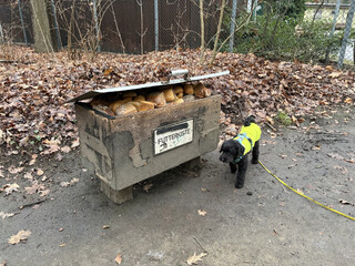 foto von der prall mit brot gefüllten futterkiste in den regbergen. das brot wird später an die wildschweine im gehege verfüttert.
