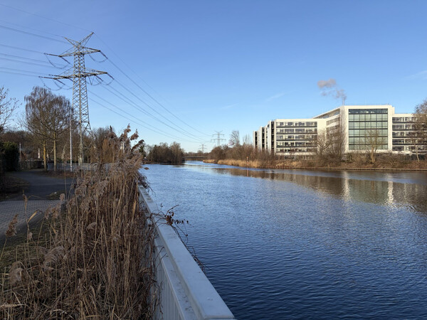 morgenspaziergang 01.03.2026