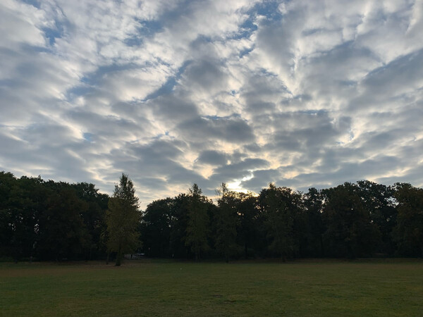 morgenspaziergang 01.10.2025