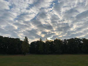 morgenspaziergang 01.10.2025