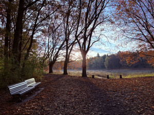 morgenspaziergang 01.11.2025