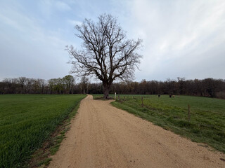 adams line in richtungnordost fotografiert