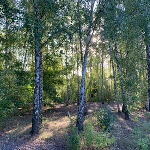 morgenspaziergang 06.09.2025
