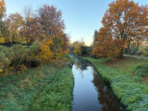 morgenspaziergang 06.11.2025