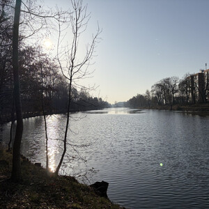 morgenspaziergang 07.03.2026