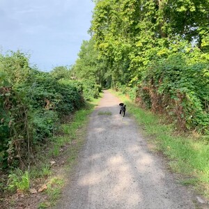 morgenspaziergang 07.08.2025
