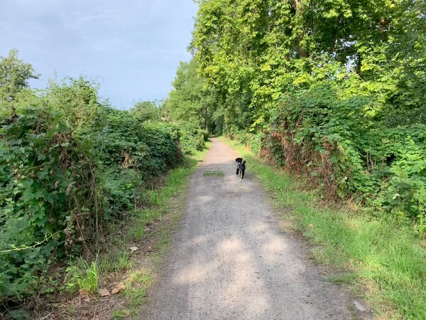 morgenspaziergang 07.08.2025