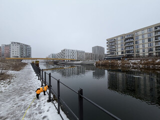 foto vom kanal am golda-meir-steg, es ist diesig, trüb dun grau, im vordergrund steht unser pudel frida und schaut auf den kanal
