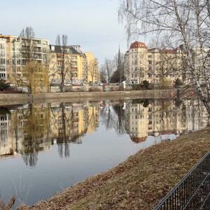 morgenspaziergang 08.03.2026