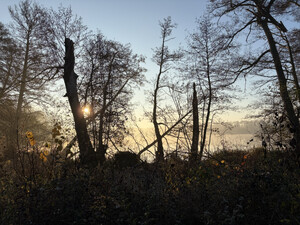 morgenspaziergang 08.11.2025