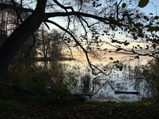 bild vom sonnenaufgang am summter see. über dem see liegt leichter nebel.