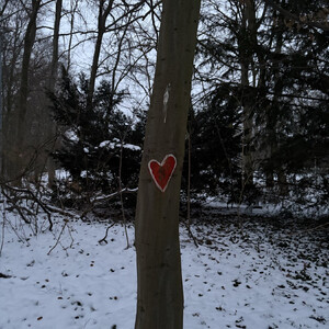 morgenspaziergang 09.01.2026