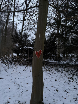 foto eines auf einen baum aufgemalten herz im volkspark rehberge